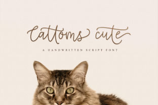 Cattoms Cute Font for Scroll-Stopping Social Media