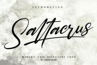 Saltacrus: The Signature Font for Bold Brand Identity