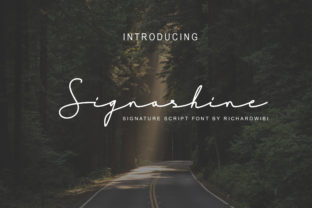 Signashine Font: A Web Designer’s Review