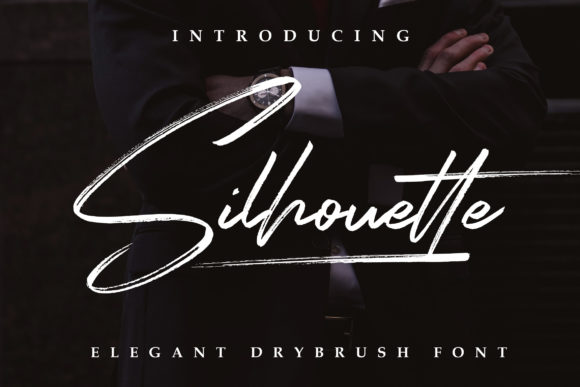 Silhouette Elegant: A Designer’s Review of This Script Font