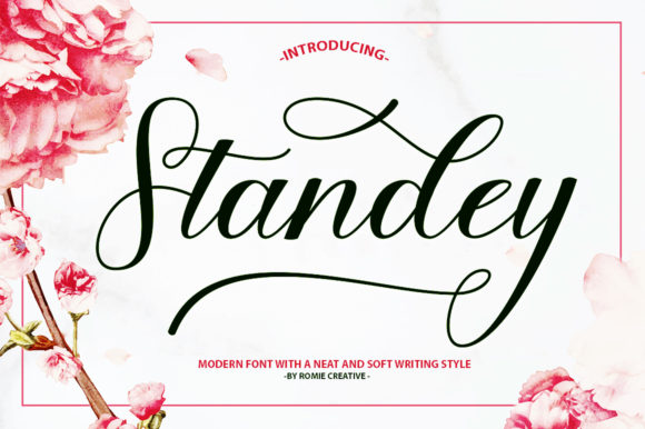 Standey: A Playful Script Font for Web Headers