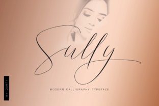 Sully: A Designer’s Honest Take on Script Amp’s Latest Release