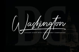 Washington Duo Typeface Review